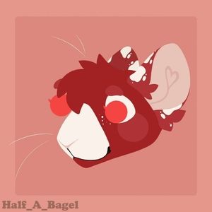 Meet your Posher, Ray